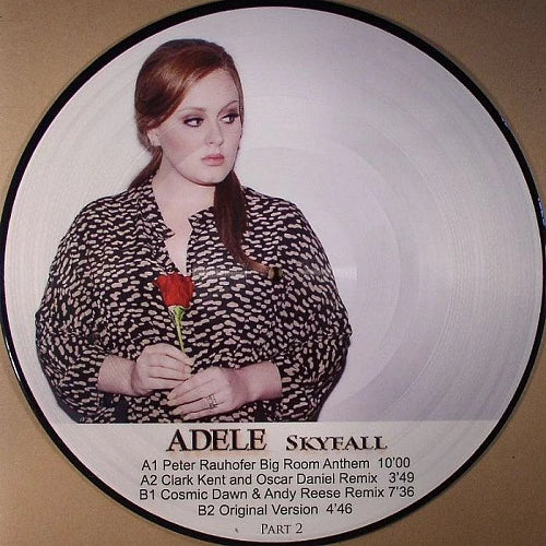 ADELE - SkyFall Part 2