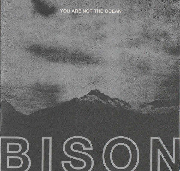 BISON - You Are the Ocean - You are the Patient