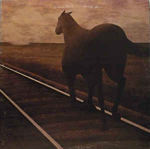 BRUCE COCKBURN - Night Vision