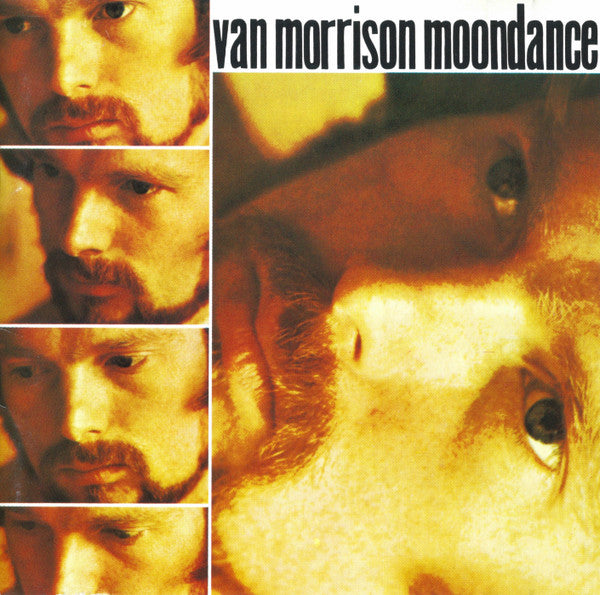 VAN MORRISON - Moondance