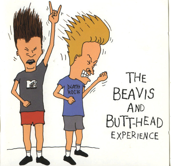 VARIOUS - THE BEAVIS AND BUUT-HEAD EXPERIENCE