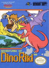 ADVENTURES OF DINO RIKI