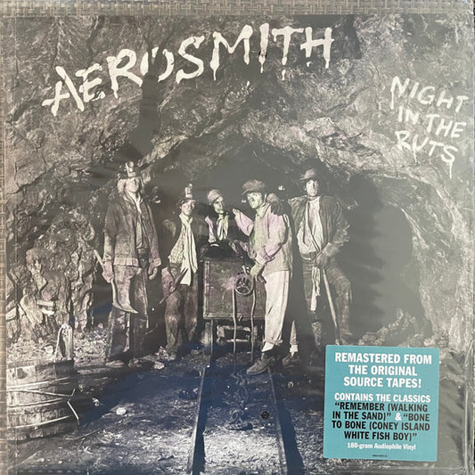 AERIOSMITH - Night in the Ruts
