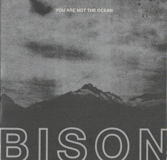 BISON - You Are the Ocean - You are the Patient