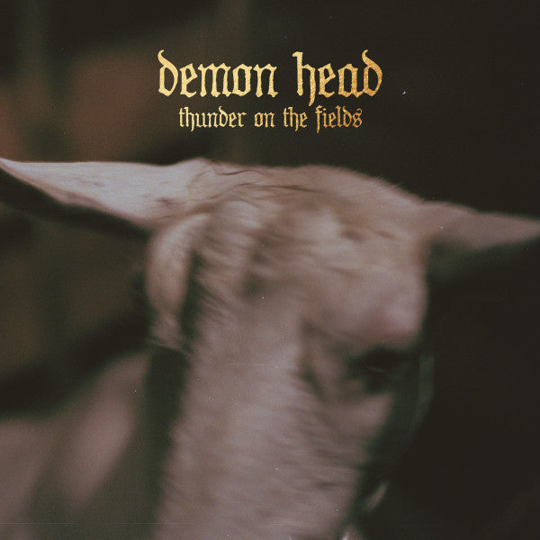 DEMON HEAD - Thunder on the Fields