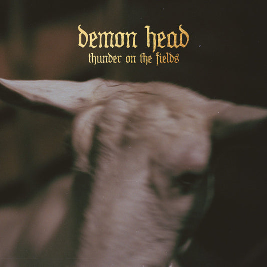 DEMON HEAD - Thunder on the Fields