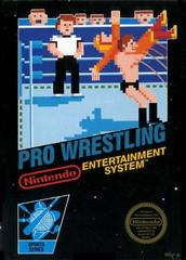 PRO WRESTLING