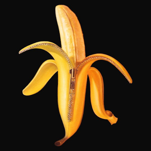 THE DANDY WARHOLS - Welcome to the Monkey House